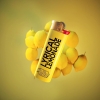 LL-Lighter