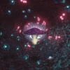 Shroom
